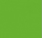 P.25 RECT. FLUO ROSE/VERT 40x60CM 780g
